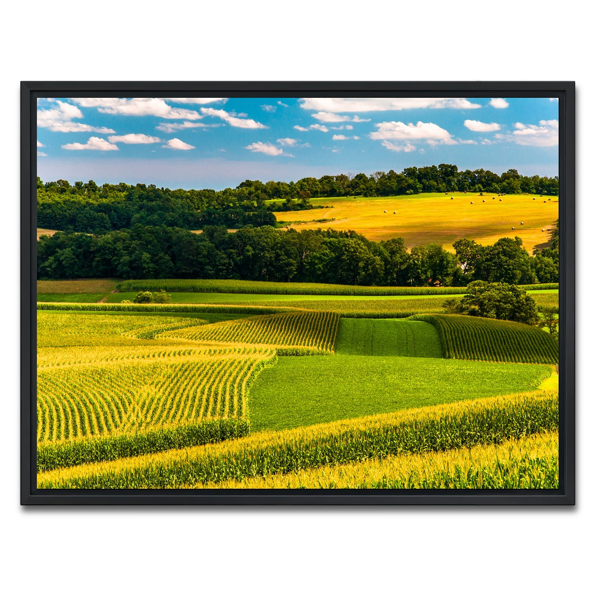 AUTO-MOCKUP WHITE | Corn fields and rolling hills York County | 1 Piece | Black Framed Canvas | group=4x3
