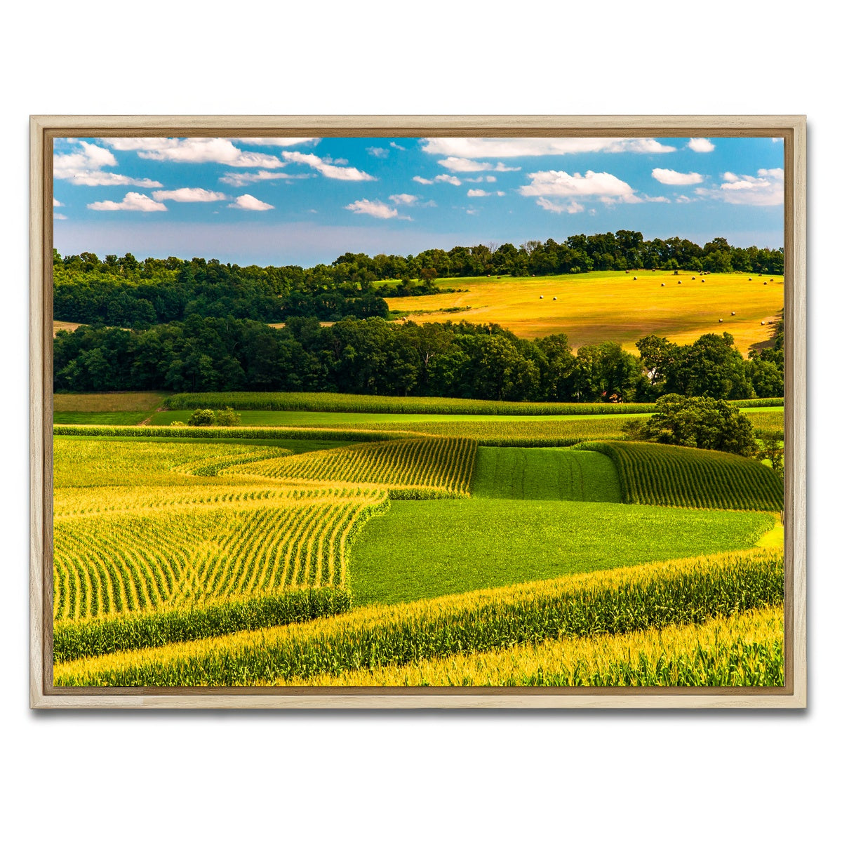 AUTO-MOCKUP WHITE | Corn fields and rolling hills York County | 1 Piece | Natural Framed Canvas | group=4x3