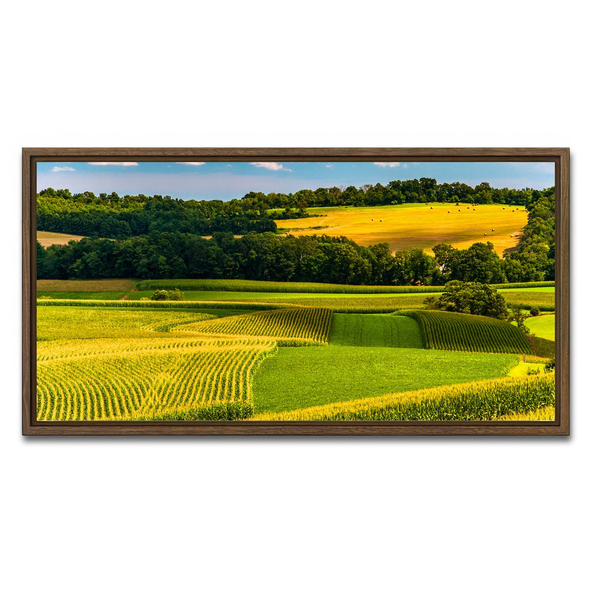 AUTO-MOCKUP WHITE | Corn fields and rolling hills York County | 1 Piece | Walnut Framed Canvas | group=2x1
