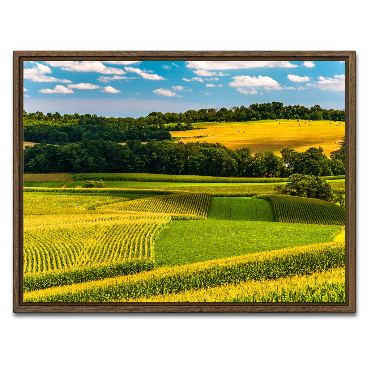 AUTO-MOCKUP WHITE | Corn fields and rolling hills York County | 1 Piece | Walnut Framed Canvas | group=4x3