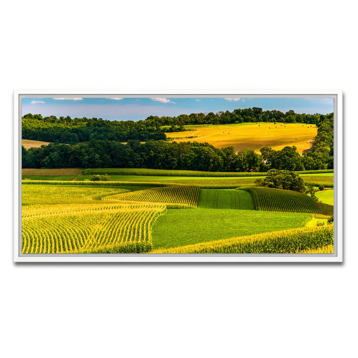 AUTO-MOCKUP WHITE | Corn fields and rolling hills York County | 1 Piece | White Framed Canvas | group=2x1