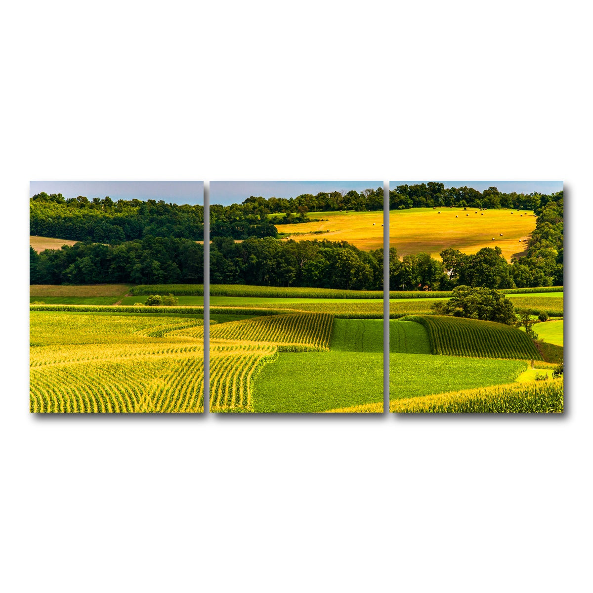 AUTO-MOCKUP WHITE | Corn fields and rolling hills York County | 3 Piece | Gallery Wrap Canvas | group=18x24