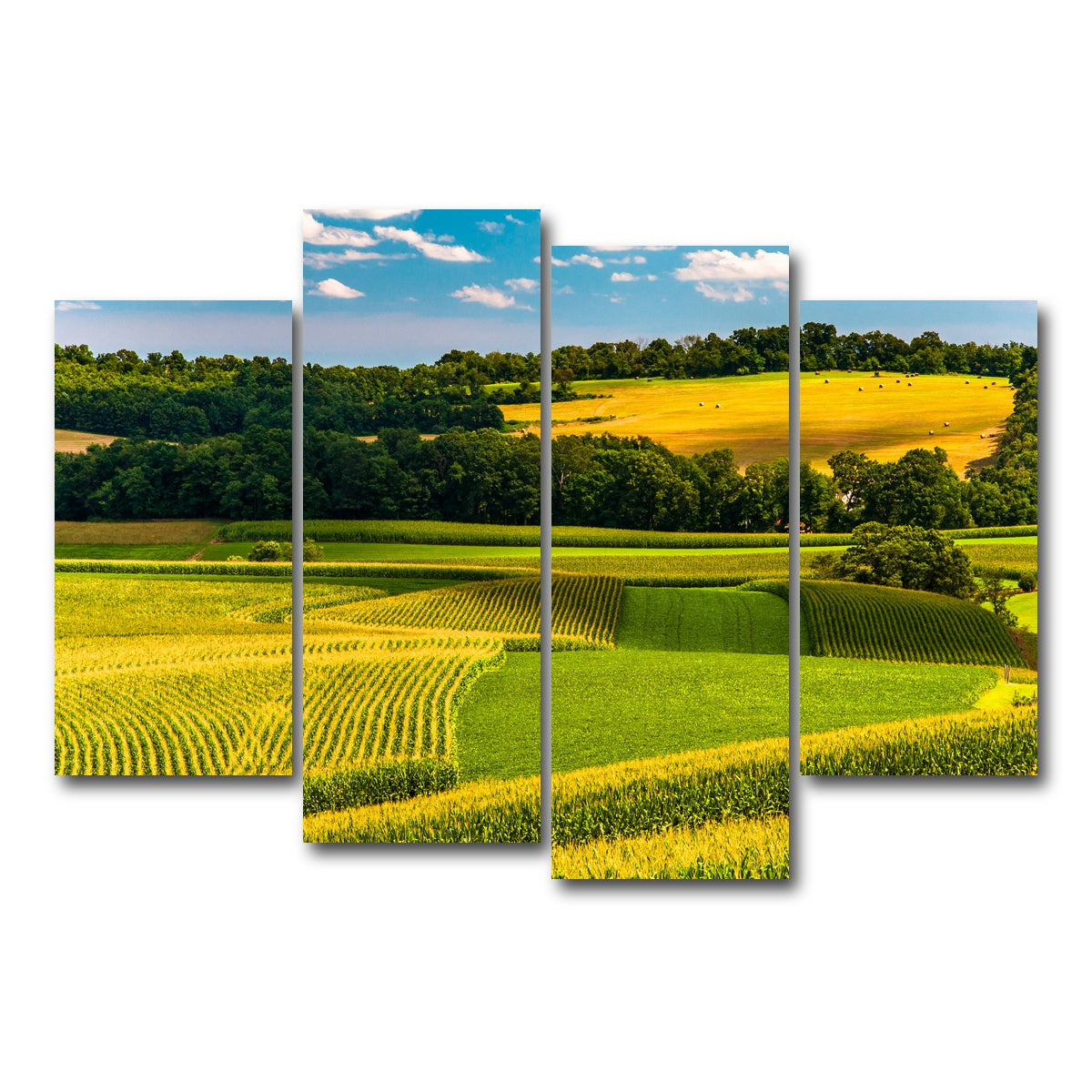 AUTO-MOCKUP WHITE | Corn fields and rolling hills York County | 4 Piece | Gallery Wrap Canvas | group=4_short