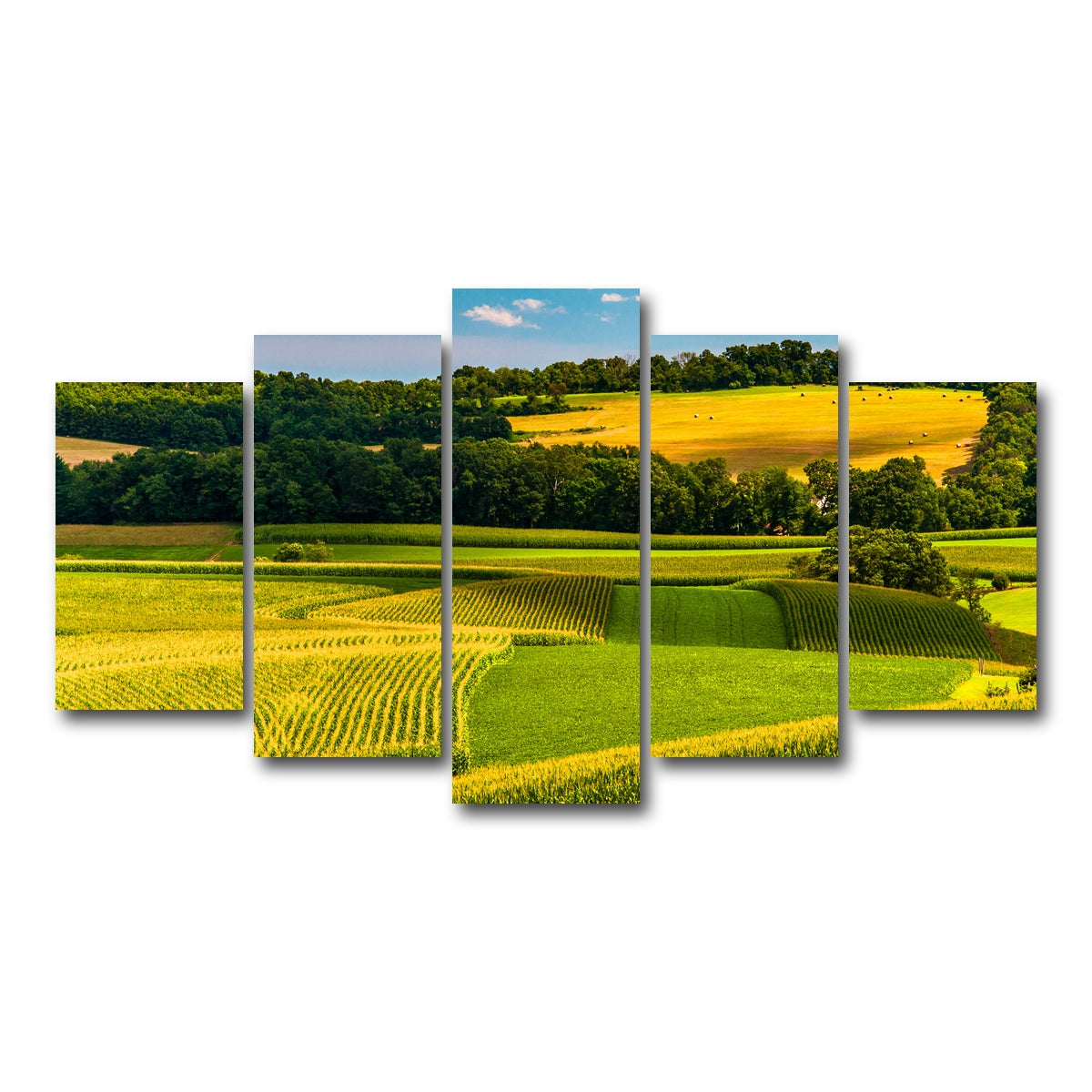 AUTO-MOCKUP WHITE | Corn fields and rolling hills York County | 5 Piece | Gallery Wrap Canvas | group=5_normal