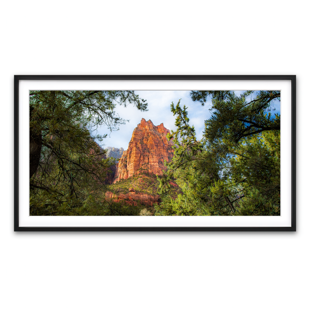 Framed Print 2x1 Black
