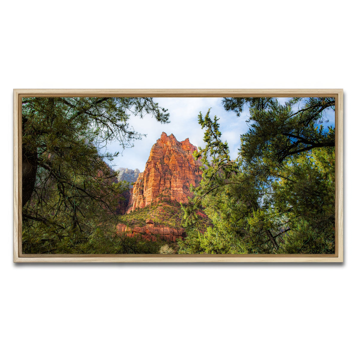 AUTO-MOCKUP WHITE | Court of the Patriarchs | 1 Piece | Natural Framed Canvas | group=2x1