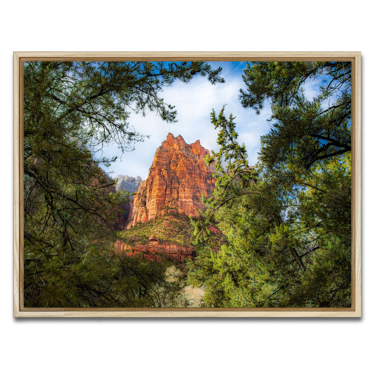 AUTO-MOCKUP WHITE | Court of the Patriarchs | 1 Piece | Natural Framed Canvas | group=4x3