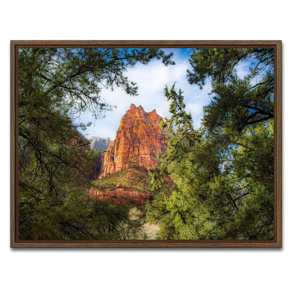 AUTO-MOCKUP WHITE | Court of the Patriarchs | 1 Piece | Walnut Framed Canvas | group=4x3
