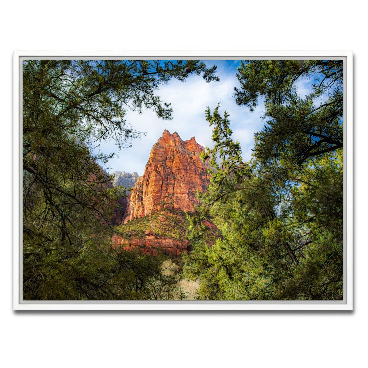 AUTO-MOCKUP WHITE | Court of the Patriarchs | 1 Piece | White Framed Canvas | group=4x3