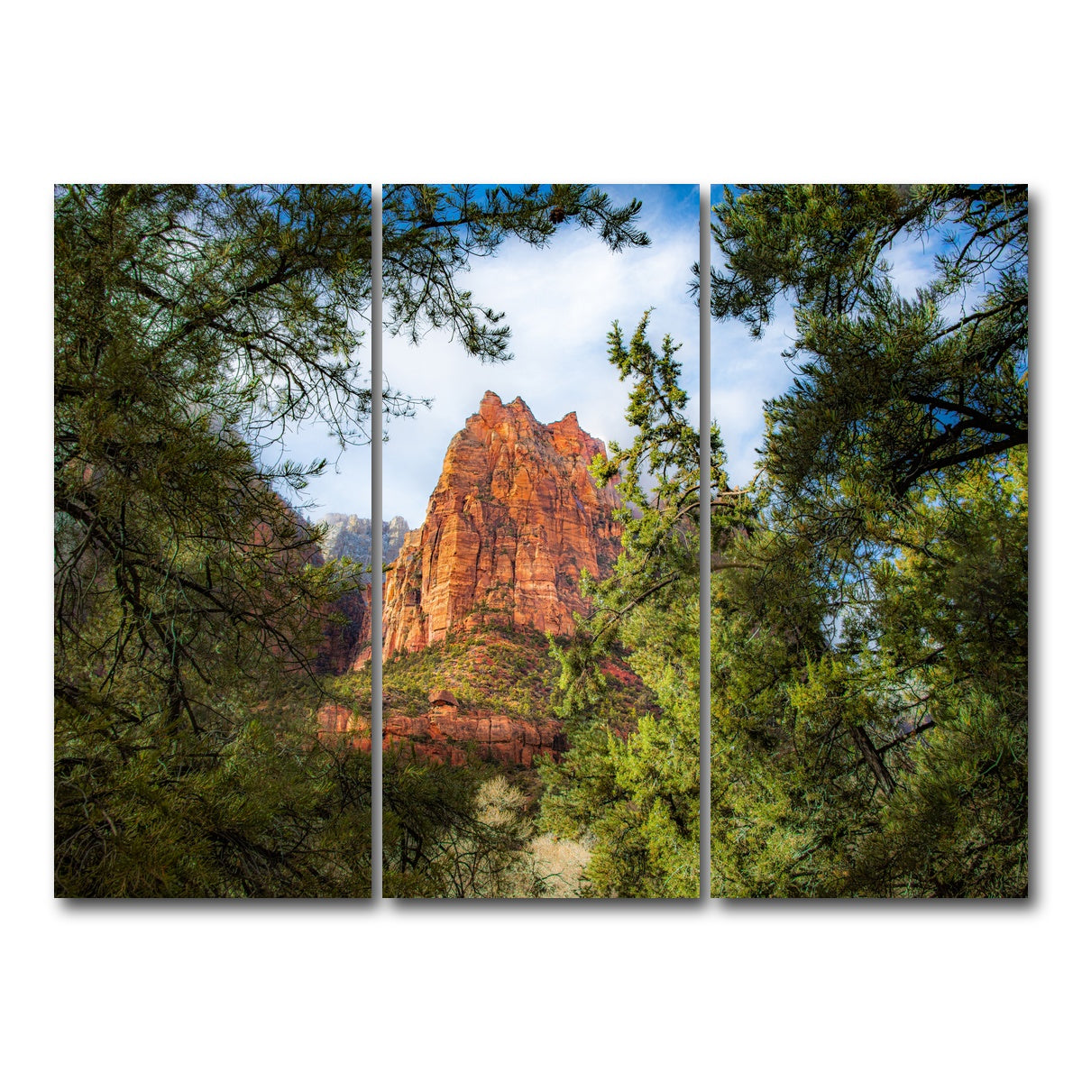 AUTO-MOCKUP WHITE | Court of the Patriarchs | 3 Piece | Gallery Wrap Canvas | group=8x18