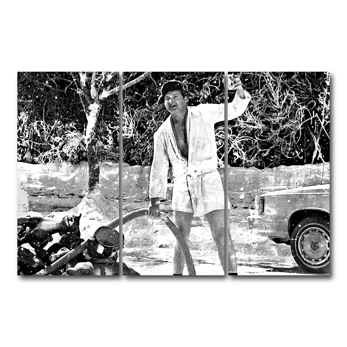 AUTO-MOCKUP WHITE | Cousin Eddie Grayscale | 3 Piece | Gallery Wrap Canvas | group=12x24