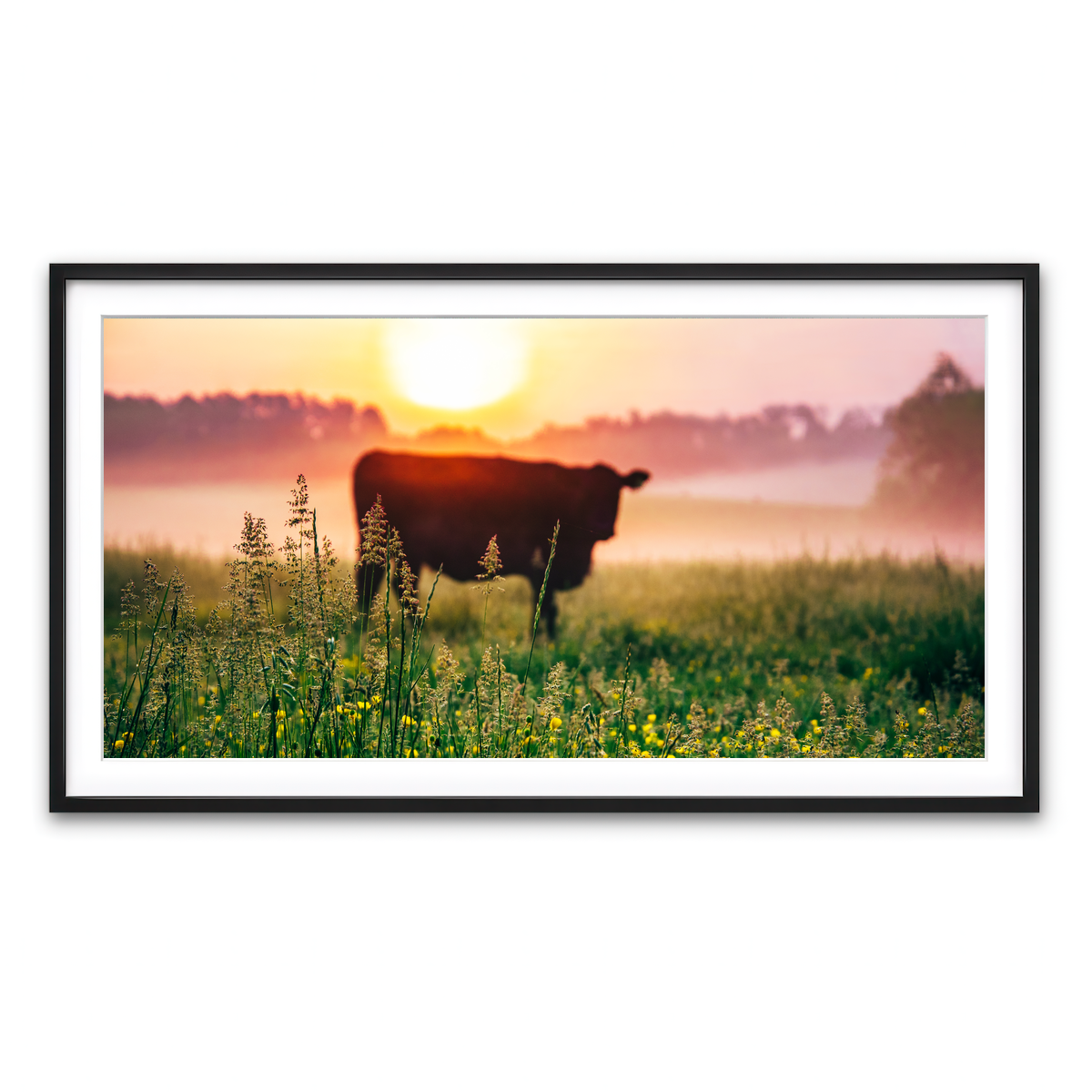 Framed Print 2x1 Black