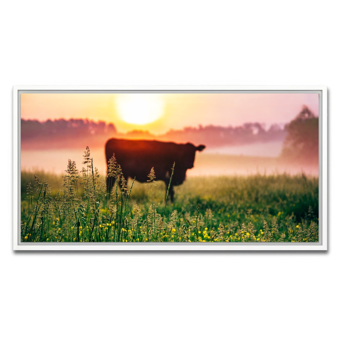 AUTO-MOCKUP WHITE | Cow Sunrise | 1 Piece | White Framed Canvas | group=2x1