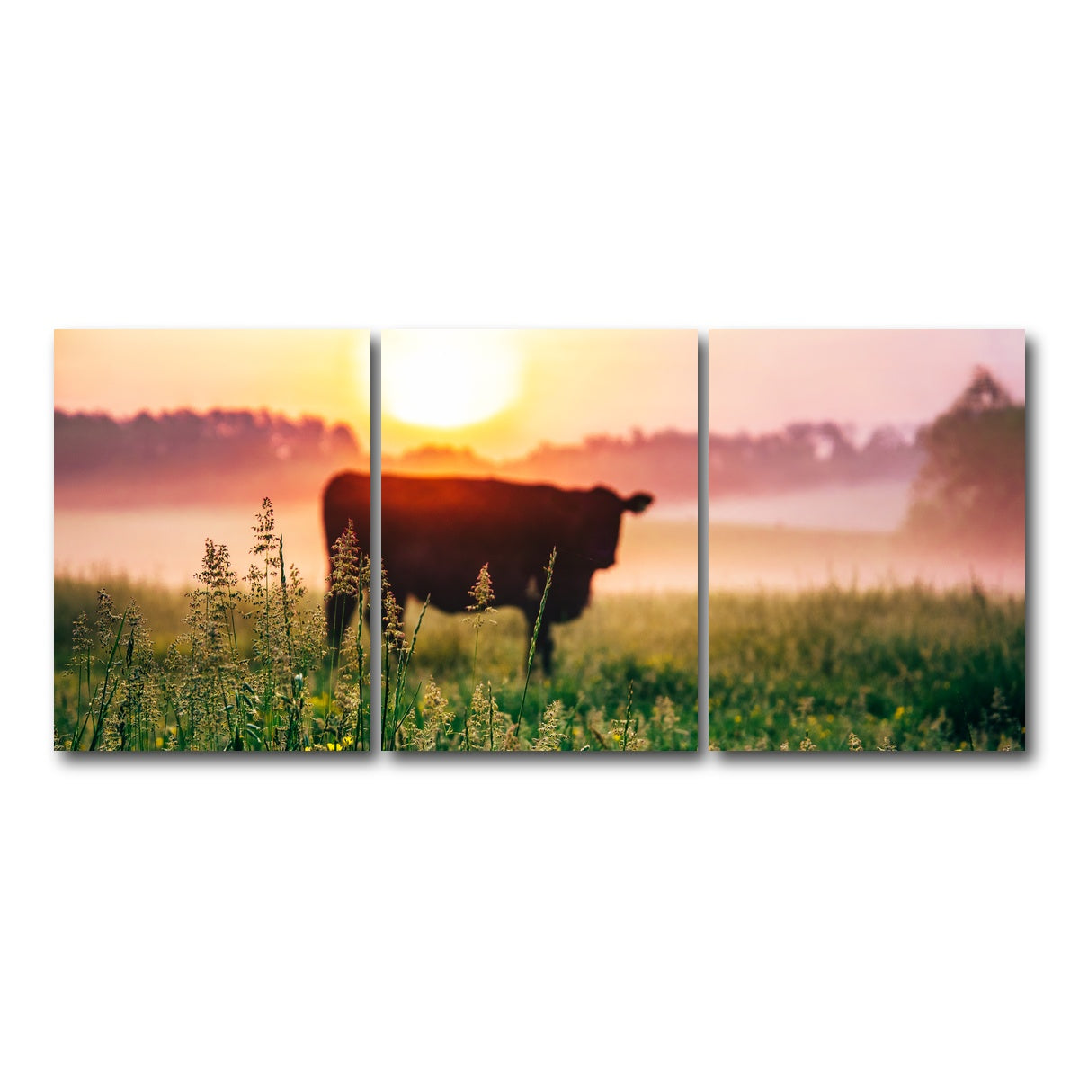 AUTO-MOCKUP WHITE | Cow Sunrise | 3 Piece | Gallery Wrap Canvas | group=18x24