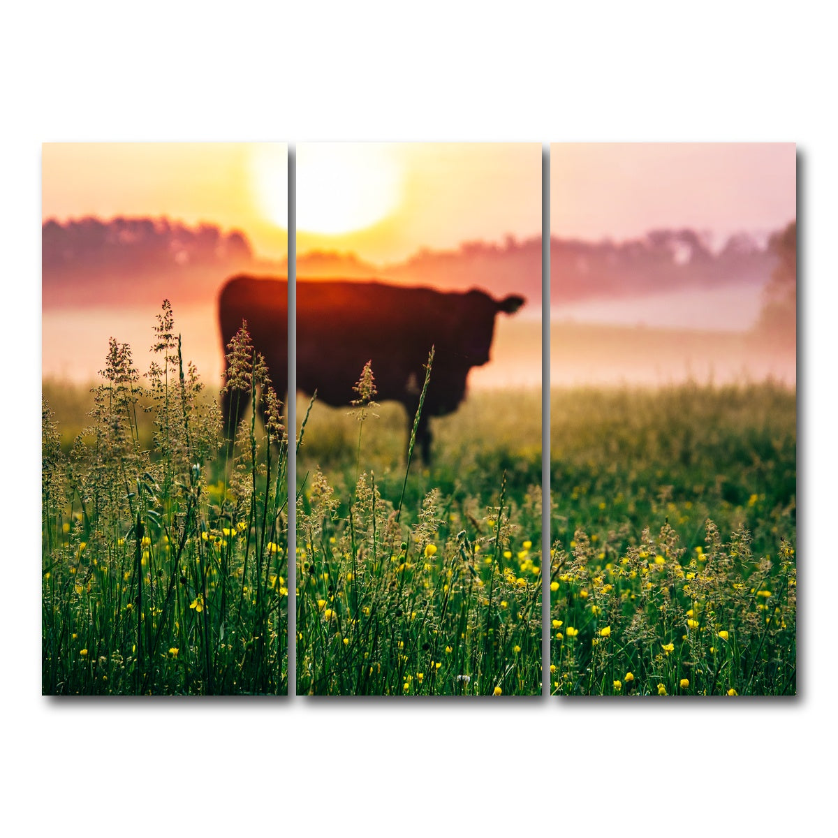 AUTO-MOCKUP WHITE | Cow Sunrise | 3 Piece | Gallery Wrap Canvas | group=8x18