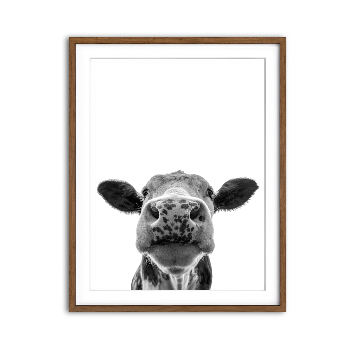 Framed Print 3x4 Walnut
