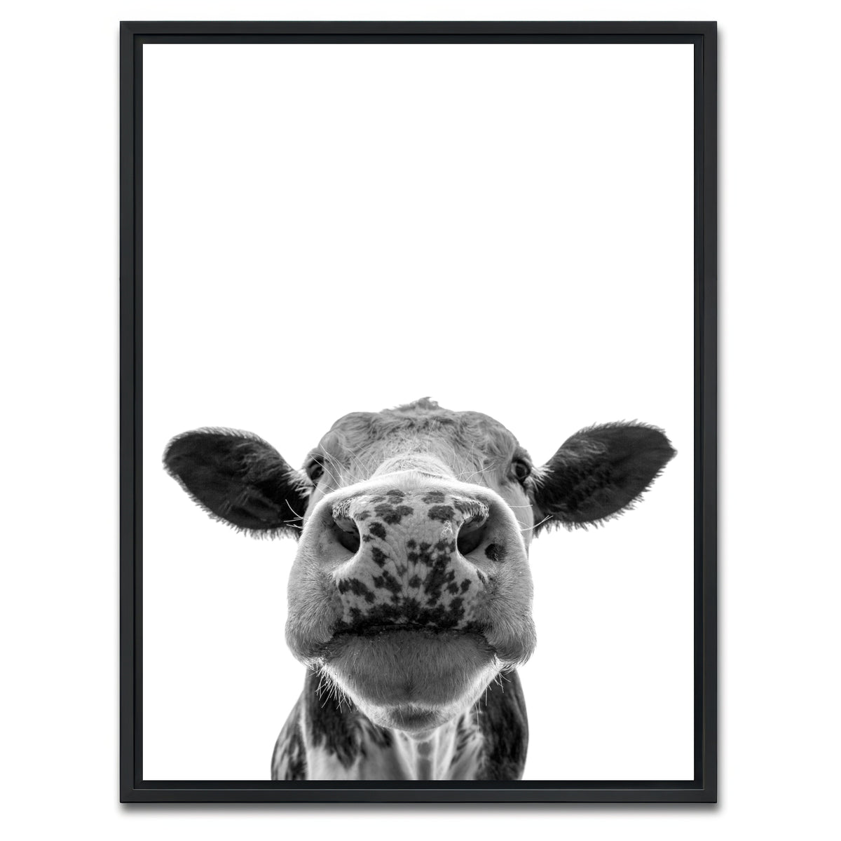 AUTO-MOCKUP WHITE | Cow | 1 Piece | Black Framed Canvas | group=3x4