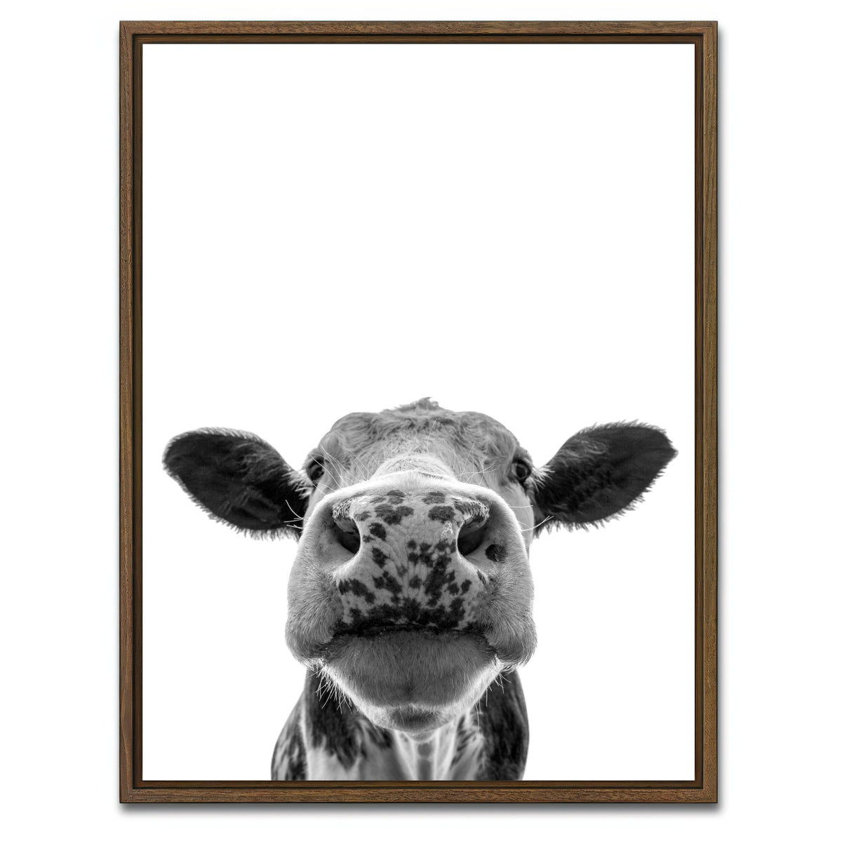 AUTO-MOCKUP WHITE | Cow | 1 Piece | Walnut Framed Canvas | group=3x4