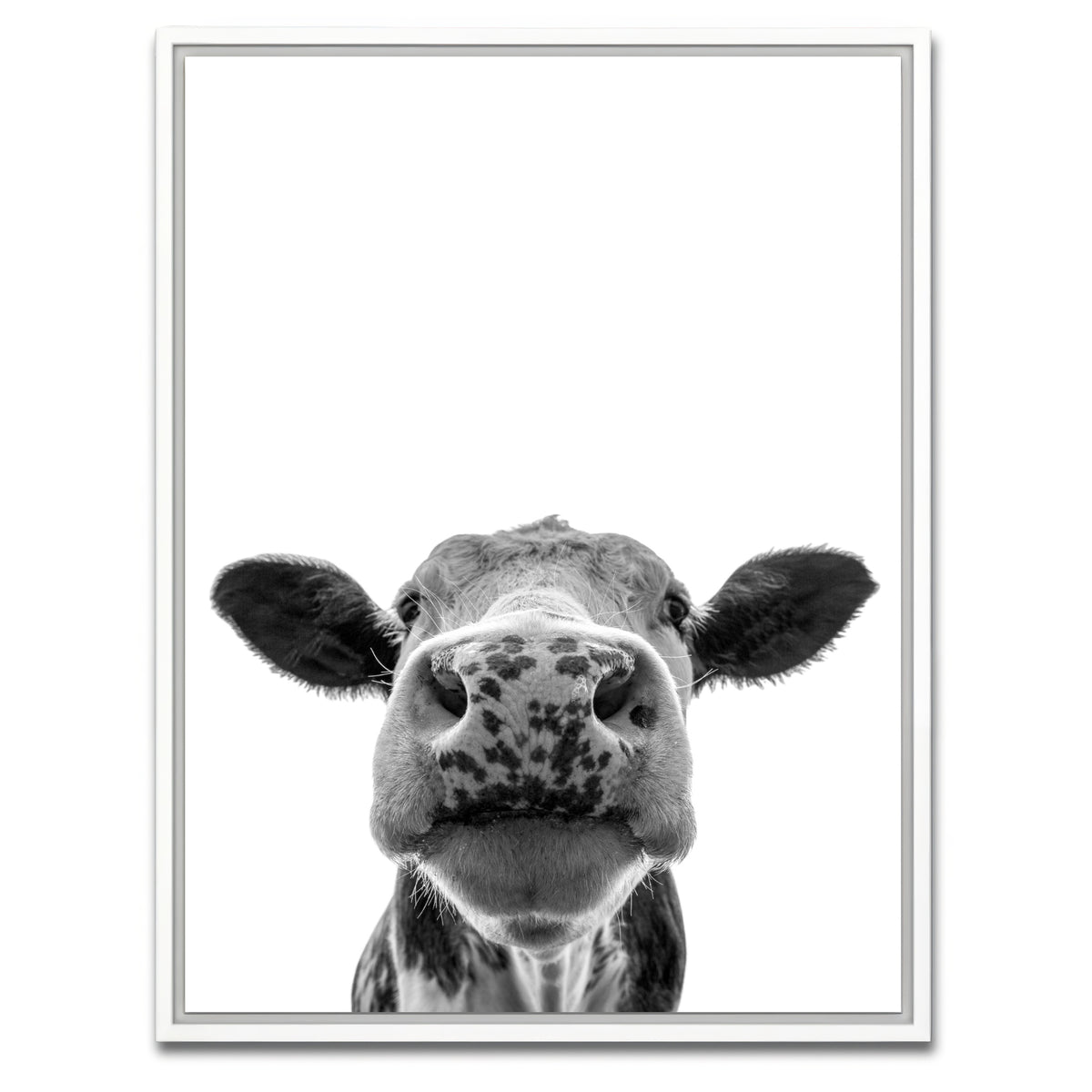AUTO-MOCKUP WHITE | Cow | 1 Piece | White Framed Canvas | group=3x4