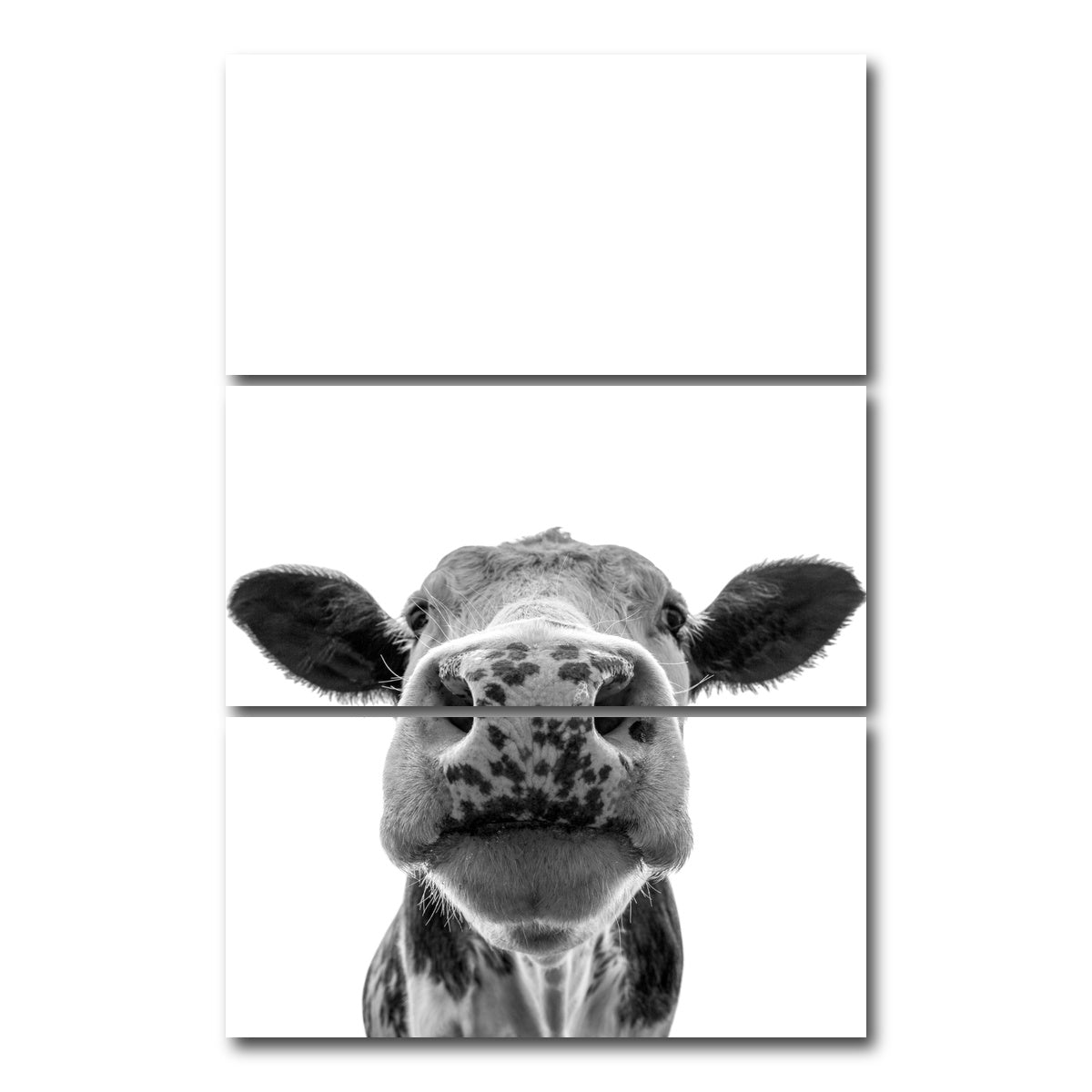 AUTO-MOCKUP WHITE | Cow | 3 Piece | Gallery Wrap Canvas | group=12x24_stacked