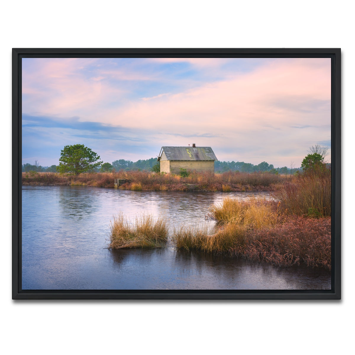 AUTO-MOCKUP WHITE | Cranberry Bog Winter Transition | 1 Piece | Black Framed Canvas | group=4x3