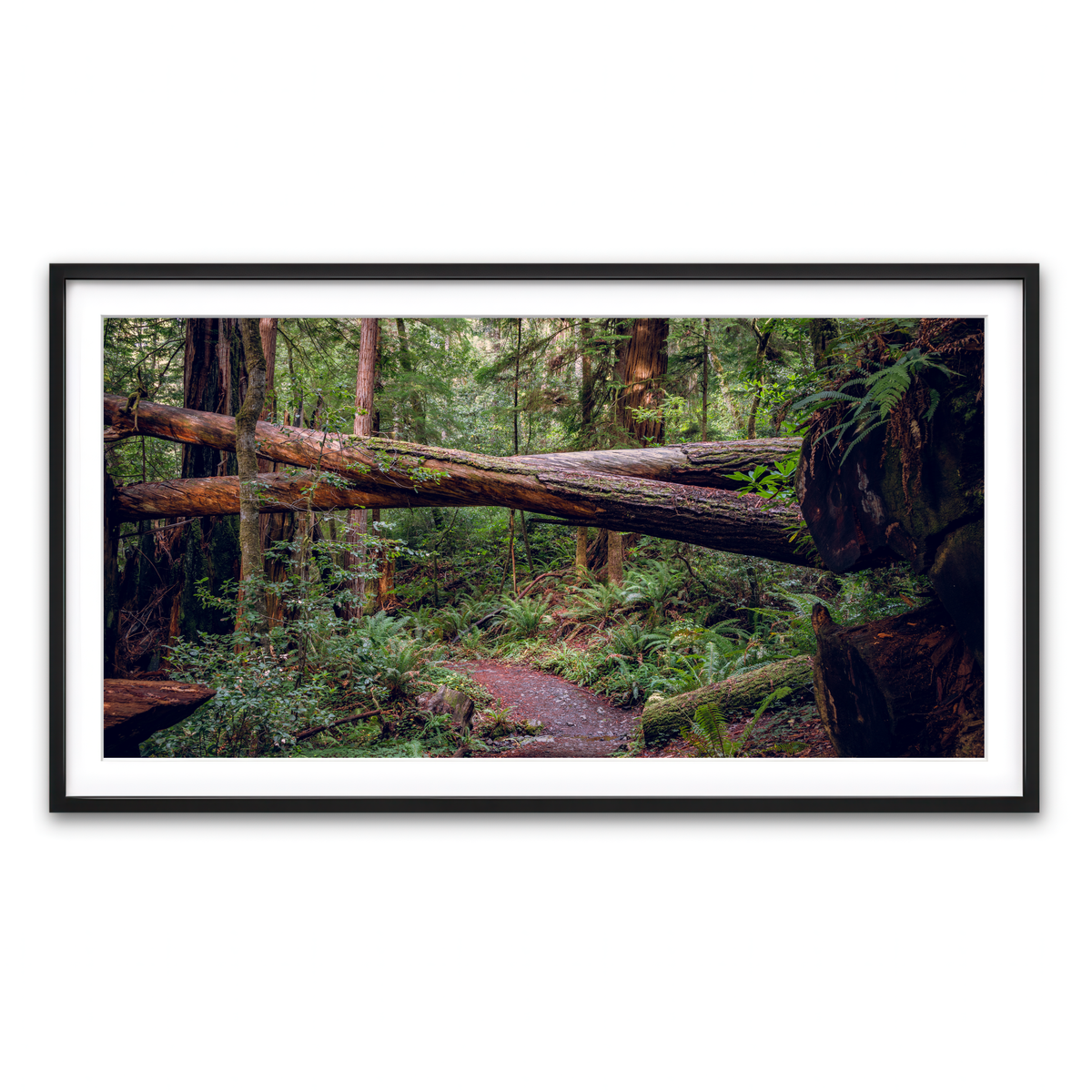 Framed Print 2x1 Black