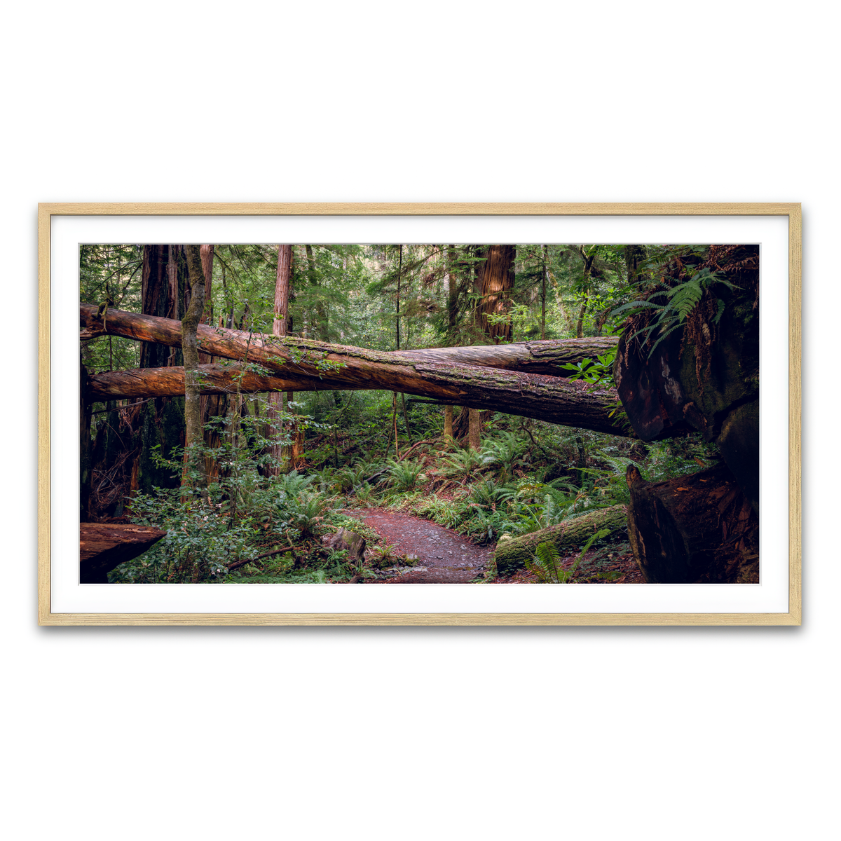 Framed Print 2x1 Natural