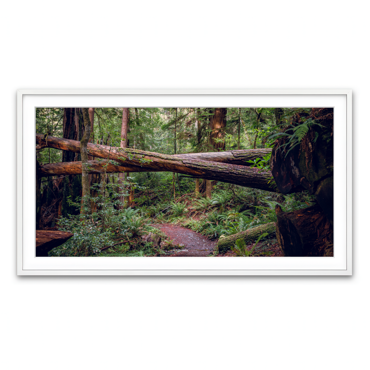 Framed Print 2x1 White