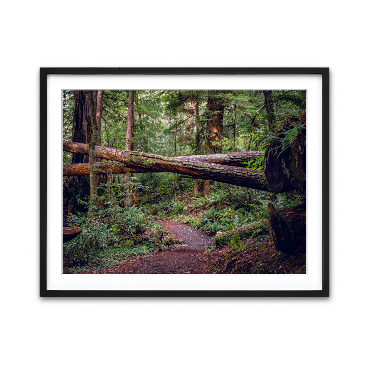 Framed Print 4x3 Black