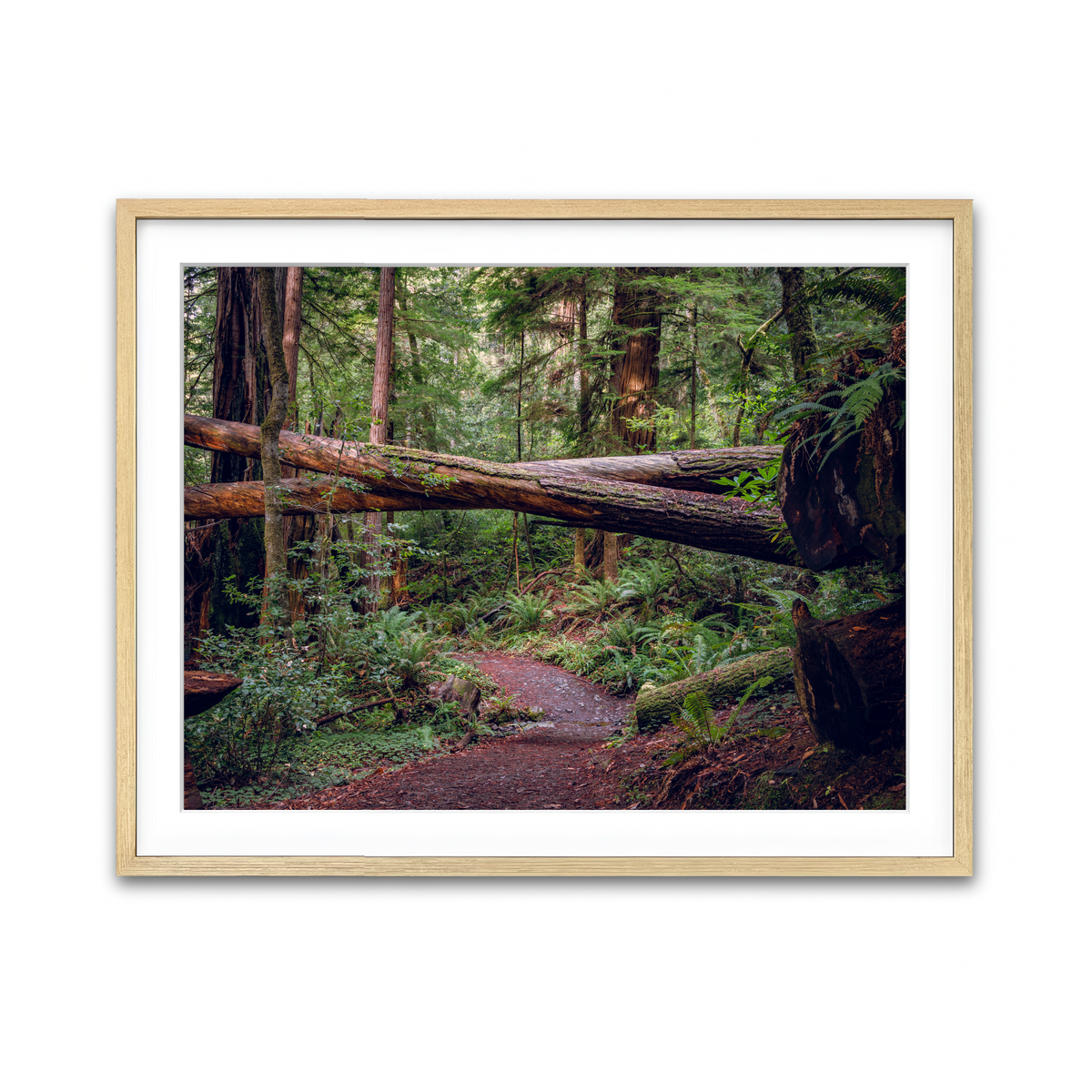 Framed Print 4x3 Natural