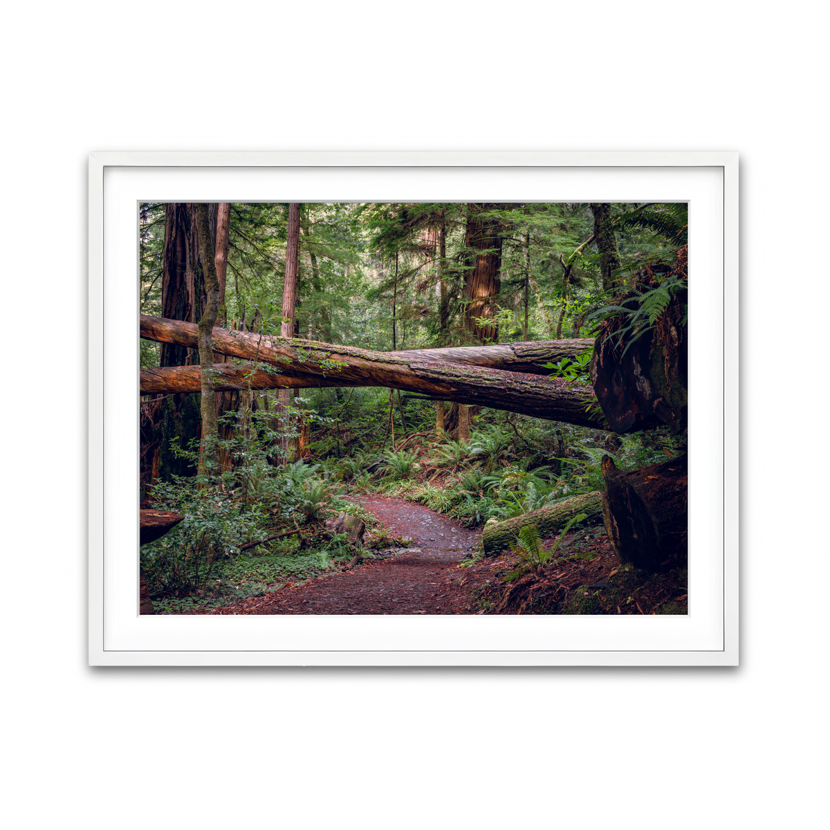 Framed Print 4x3 White