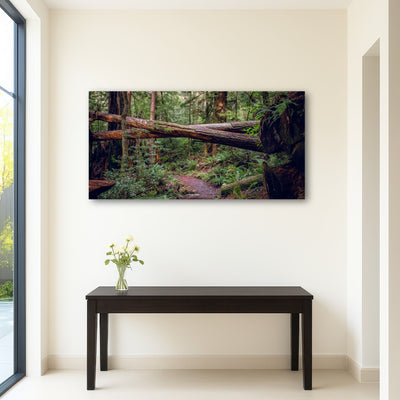 AUTO-MOCKUP ROOM | Crossed Trees