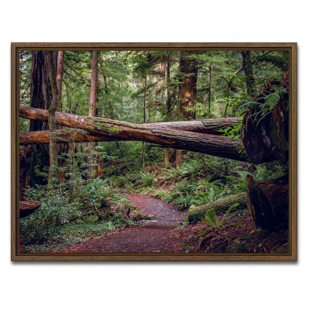 AUTO-MOCKUP WHITE | Crossed Trees | 1 Piece | Walnut Framed Canvas | group=4x3