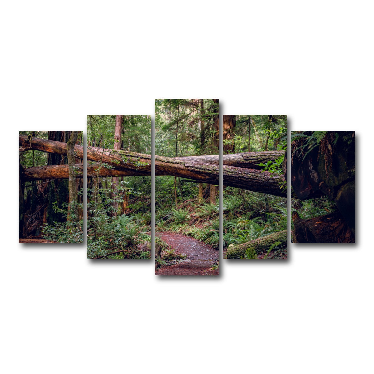 AUTO-MOCKUP WHITE | Crossed Trees | 5 Piece | Gallery Wrap Canvas | group=5_normal