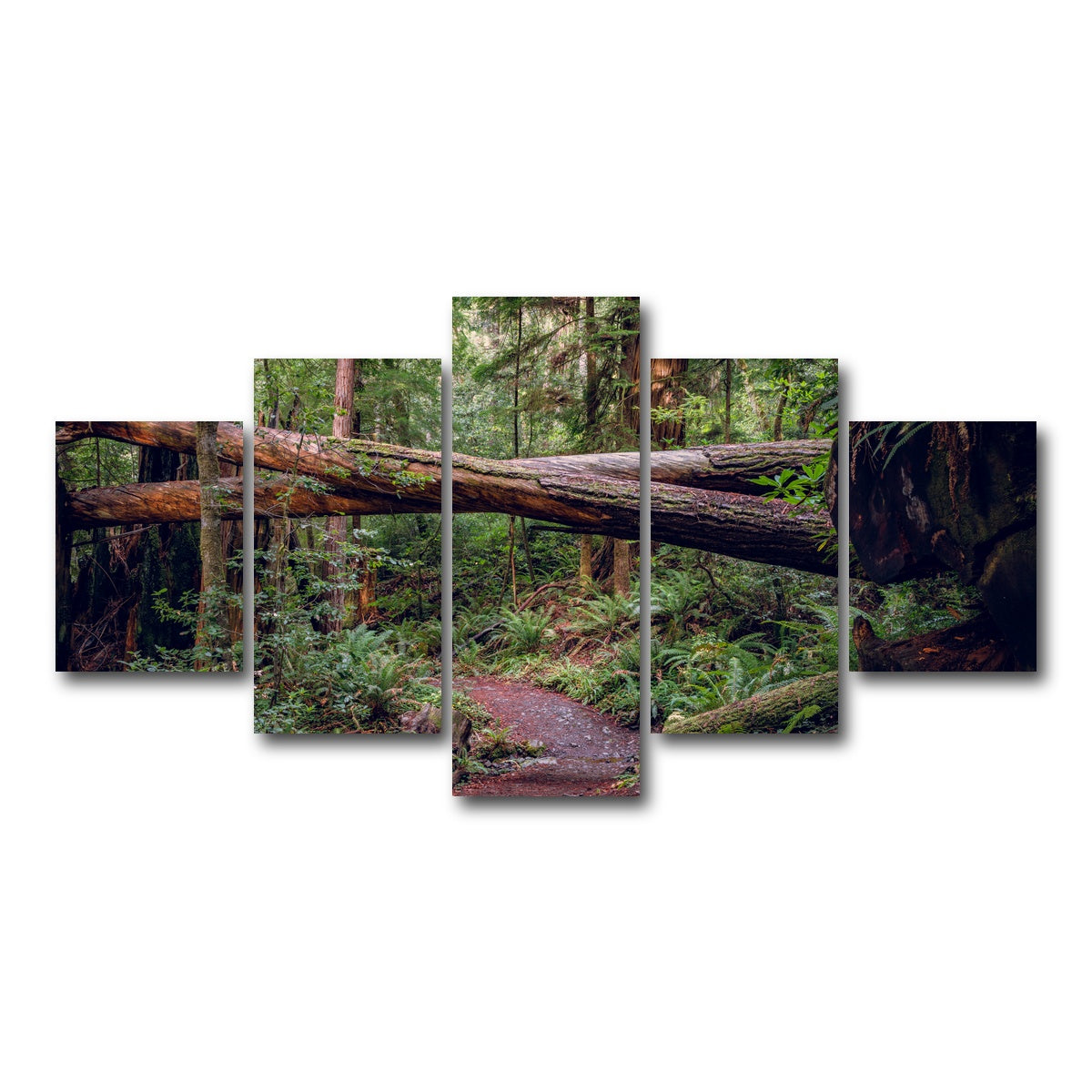 AUTO-MOCKUP WHITE | Crossed Trees | 5 Piece | Gallery Wrap Canvas | group=5_short