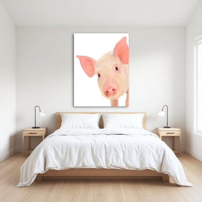 AUTO-MOCKUP ROOM | Cute Baby Pig