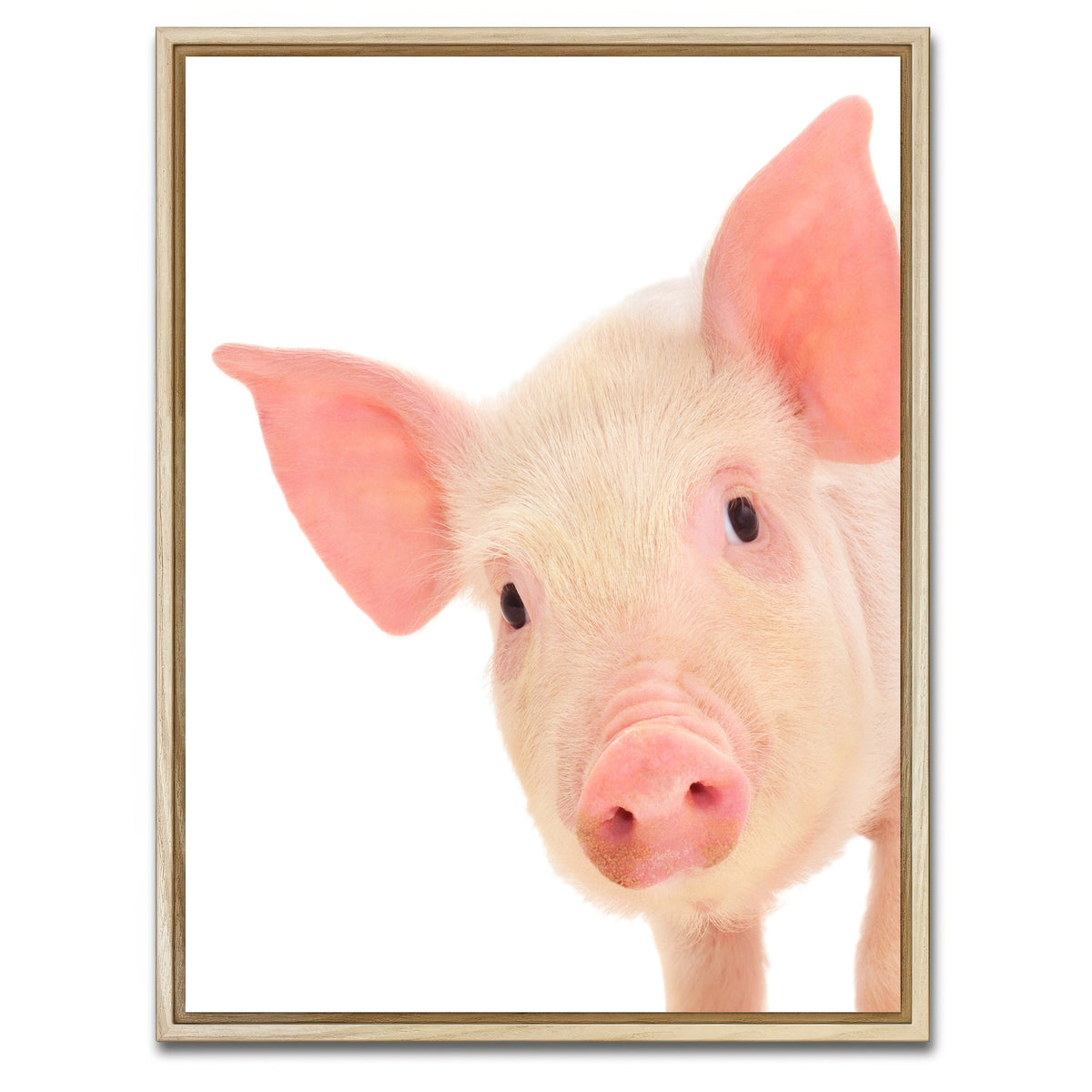 AUTO-MOCKUP WHITE | Cute Baby Pig | 1 Piece | Natural Framed Canvas | group=3x4