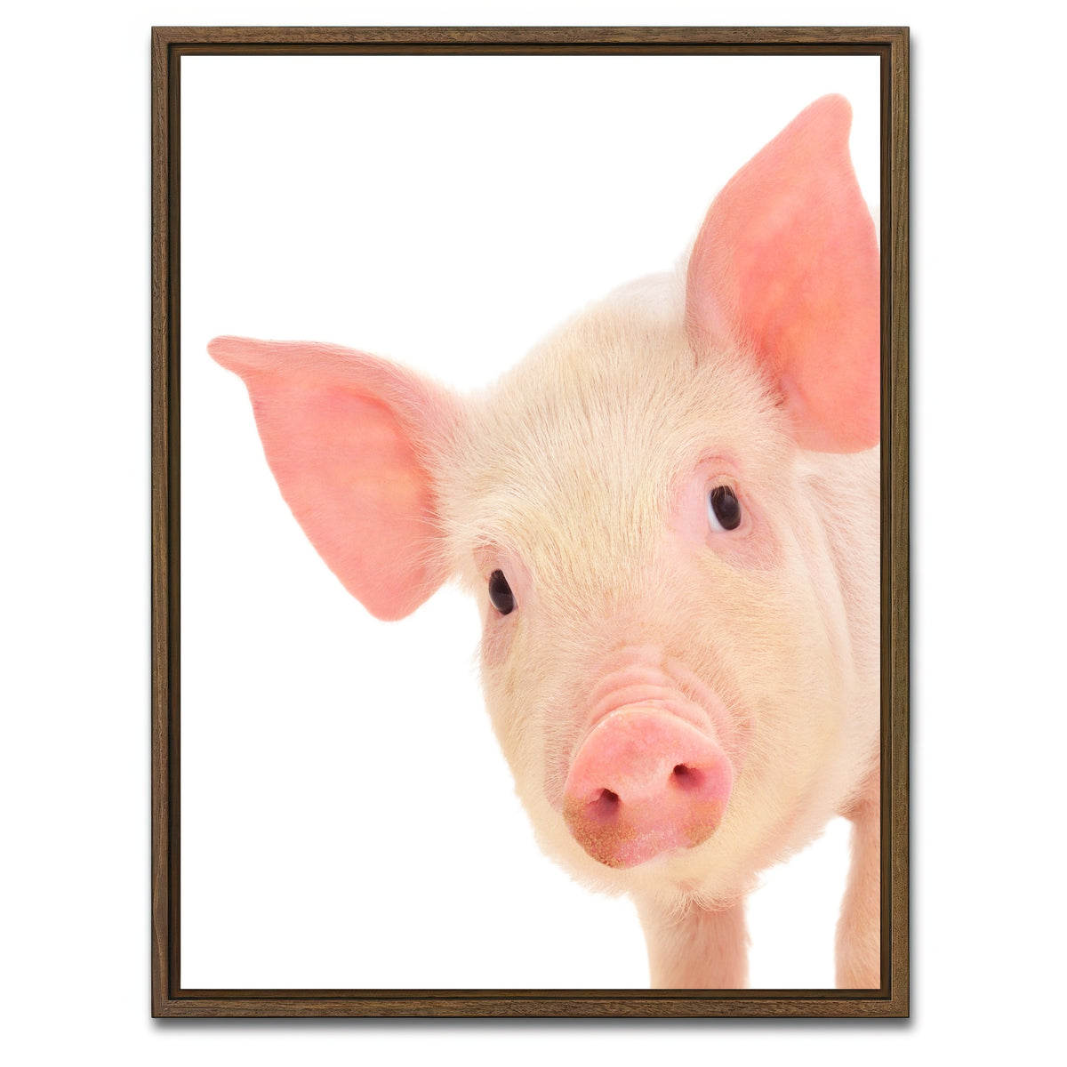 AUTO-MOCKUP WHITE | Cute Baby Pig | 1 Piece | Walnut Framed Canvas | group=3x4