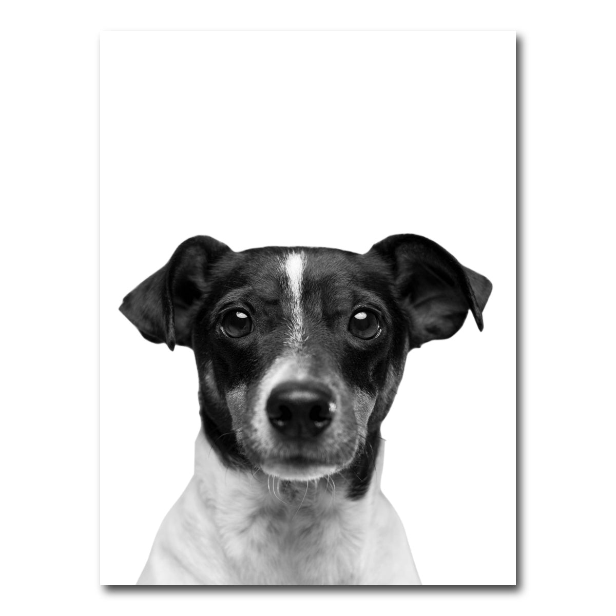 AUTO-MOCKUP WHITE | Cutie Dog | 1 Piece | Gallery Wrap Canvas | group=3x4