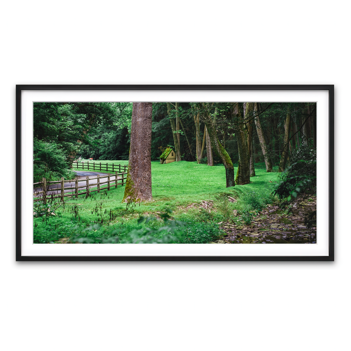 Framed Print 2x1 Black