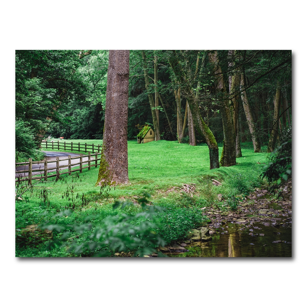 AUTO-MOCKUP WHITE | Cuttalossa Farm | 1 Piece | Gallery Wrap Canvas | group=4x3