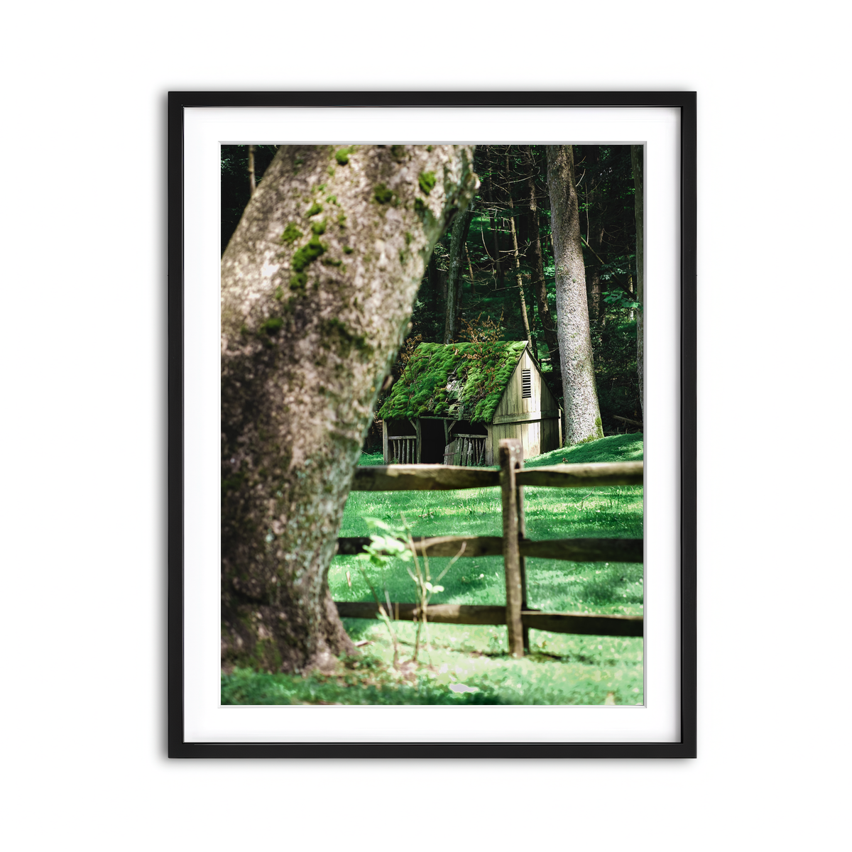Framed Print 3x4 Black