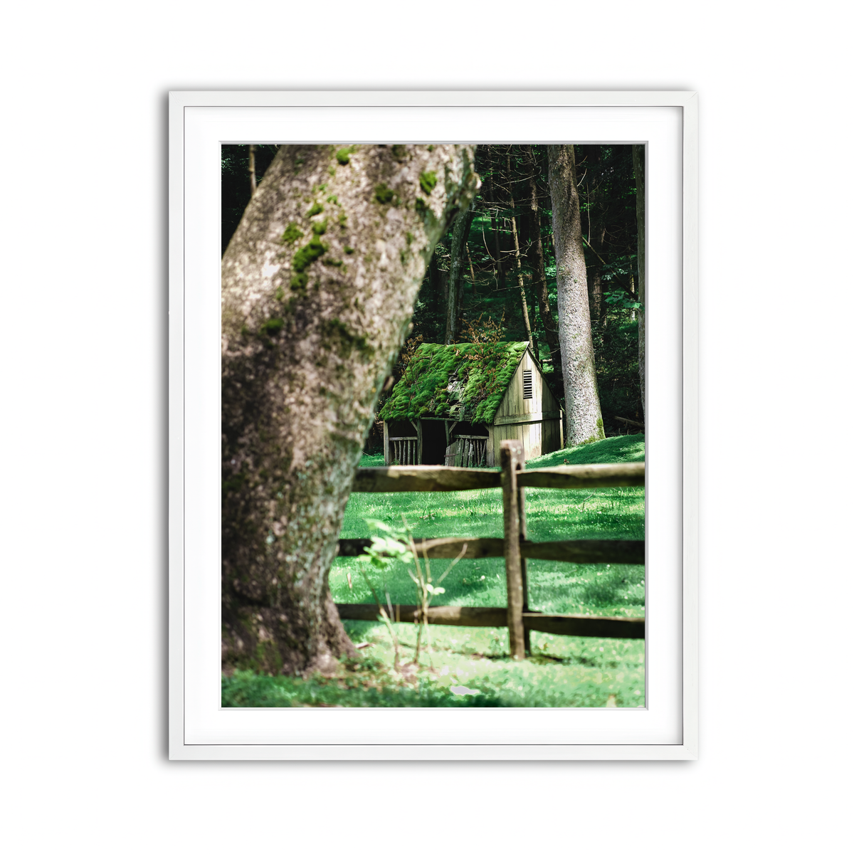 Framed Print 3x4 White