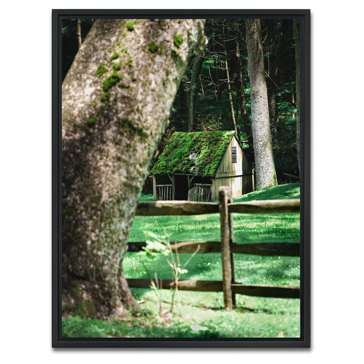 AUTO-MOCKUP WHITE | Cuttalossa Moss | 1 Piece | Black Framed Canvas | group=3x4