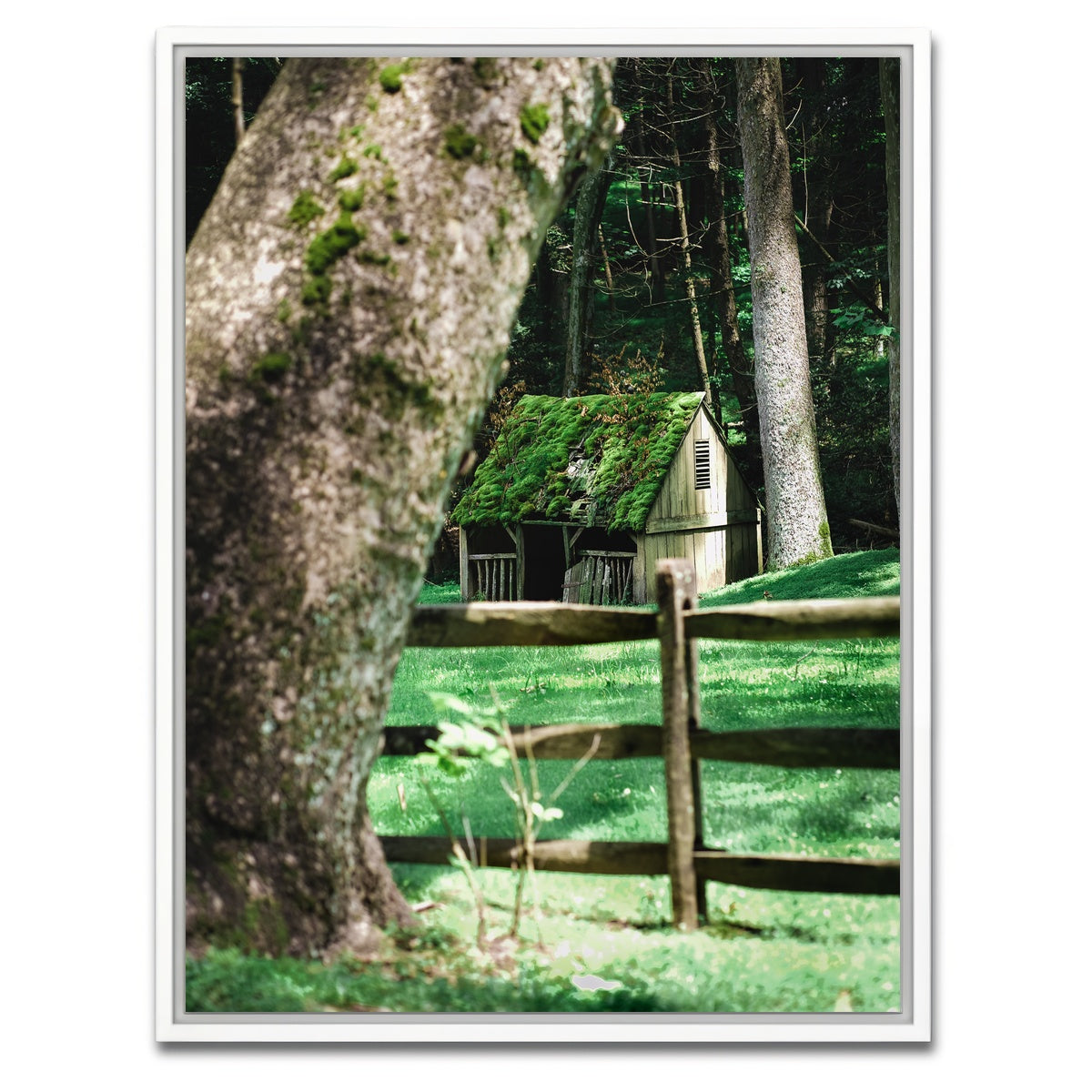 AUTO-MOCKUP WHITE | Cuttalossa Moss | 1 Piece | White Framed Canvas | group=3x4