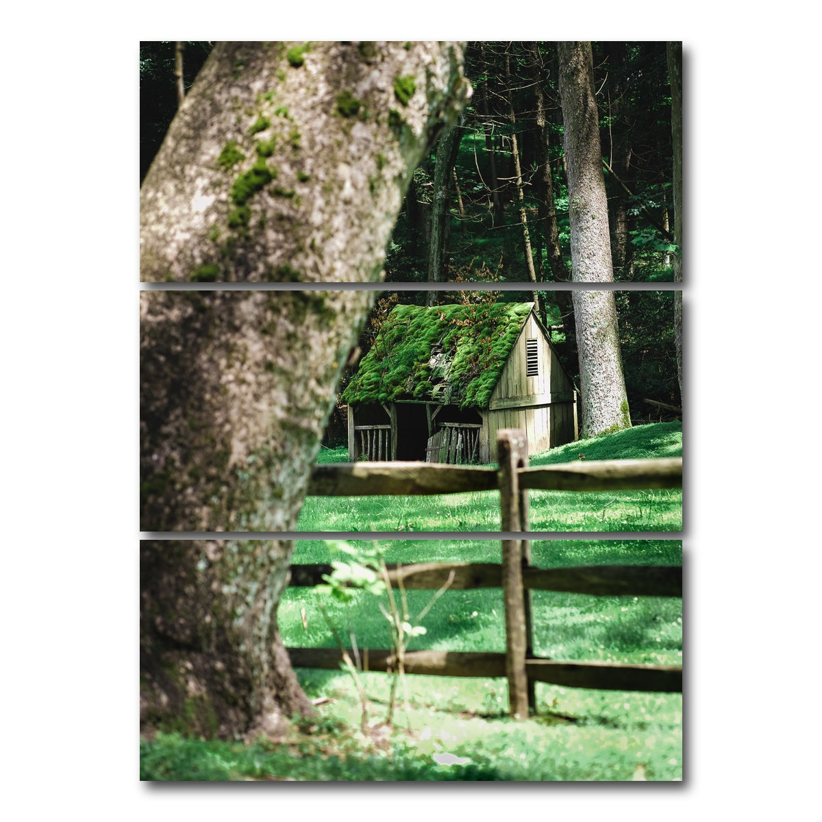 AUTO-MOCKUP WHITE | Cuttalossa Moss | 3 Piece | Gallery Wrap Canvas | group=8x18_stacked