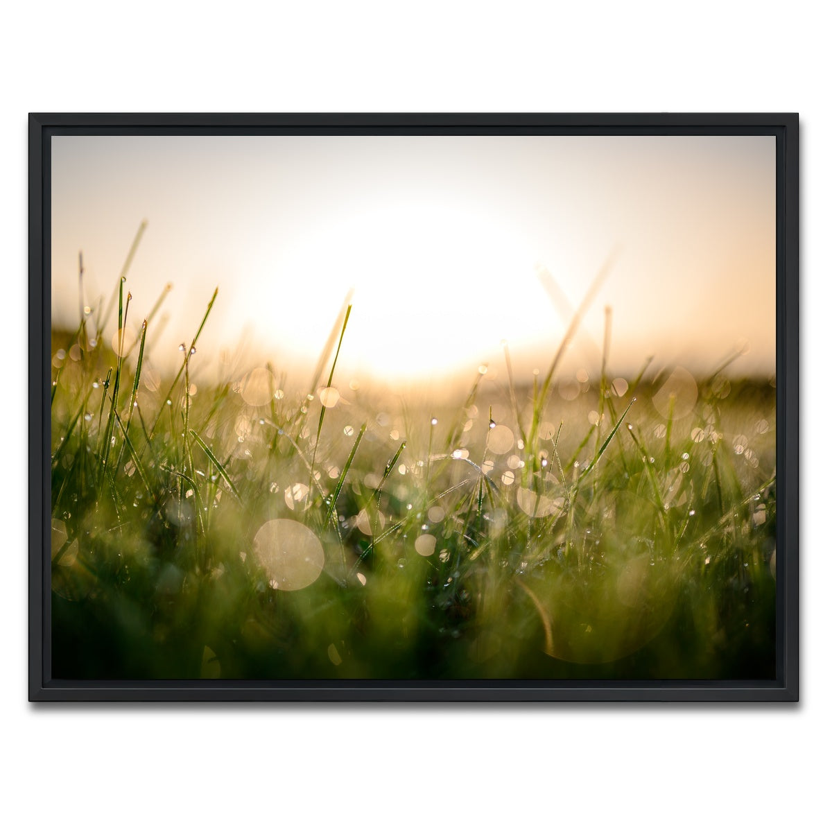 AUTO-MOCKUP WHITE | Damp Morning | 1 Piece | Black Framed Canvas | group=4x3
