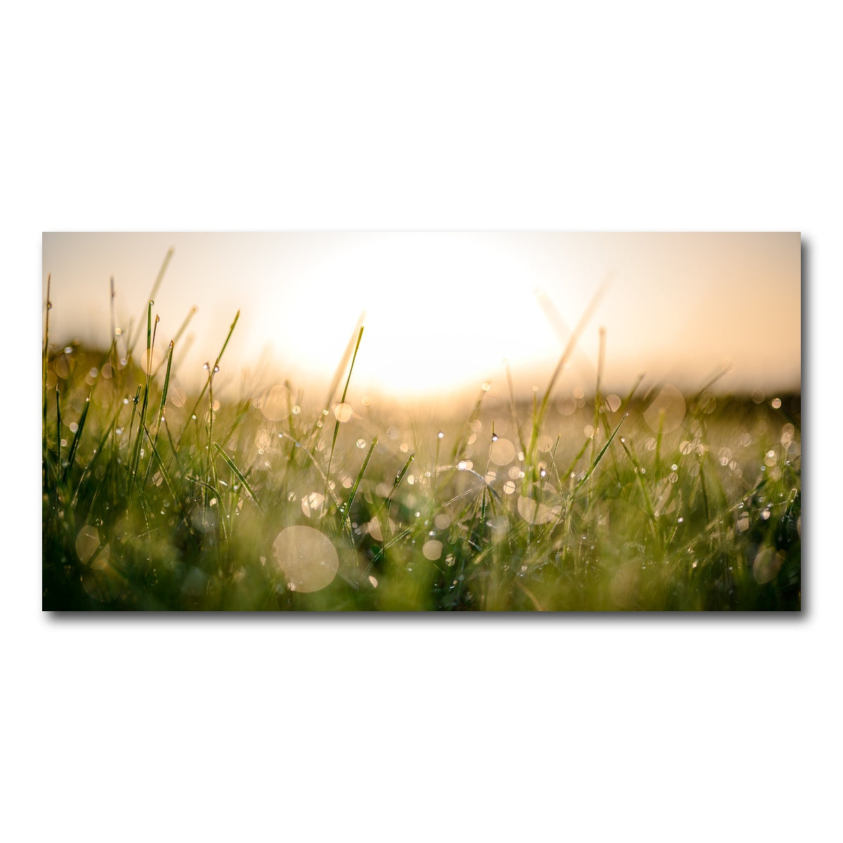 AUTO-MOCKUP WHITE | Damp Morning | 1 Piece | Gallery Wrap Canvas | group=2x1