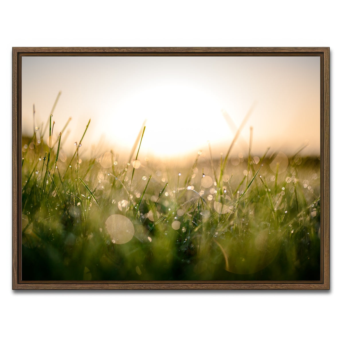 AUTO-MOCKUP WHITE | Damp Morning | 1 Piece | Walnut Framed Canvas | group=4x3
