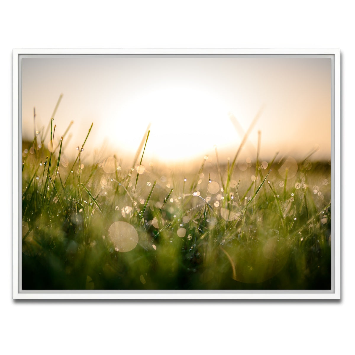 AUTO-MOCKUP WHITE | Damp Morning | 1 Piece | White Framed Canvas | group=4x3